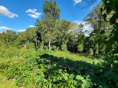 Lots 3-4-5 Pathfinder Dr, Lexington, VA 24450 - photo 4