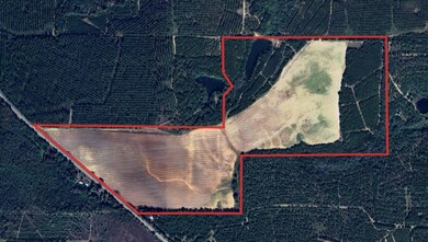 00 Hwy 41, Shellman, GA 39886 - photo 2