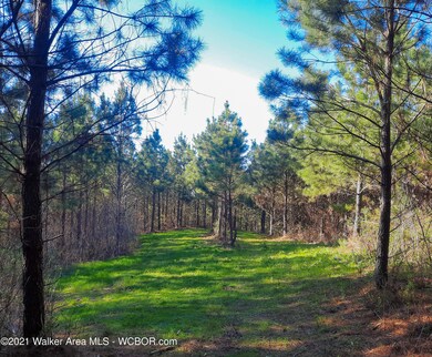DavidsonLoopStills-8