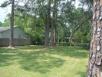 9942 Bradley Rd, Jacksonville, FL 32246 - photo 4