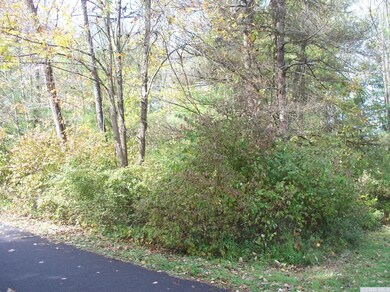 56 - G Summit Ln, Sleepy Hollow Lake, NY 12015 - photo 7