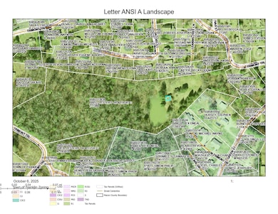 120 Trimont Trail, Franklin, NC 28734 - photo 3