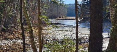 Lot 61-F/G Forest Haven, Boothbay, ME 04537 - photo 5