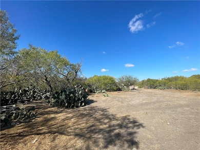 10 acres Cr 421, Christine, TX 78012 - photo 4