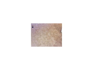 Brand new carpet