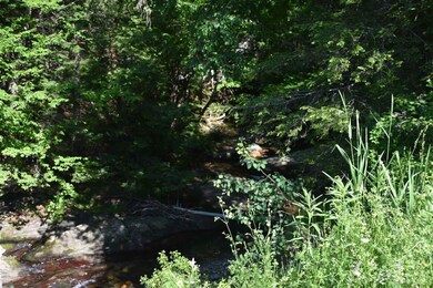 0 Messier Hill Bull Run Horner & Old Mail Route Rd unit 4800974, Roxbury, VT 05669 - photo 4