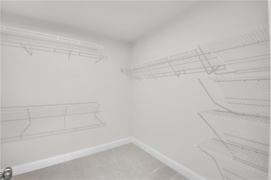 Spacious closet featuring light colored carpet