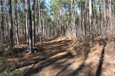 00 Hwy 161 Hwy, Clover, SC 29710 - photo 2