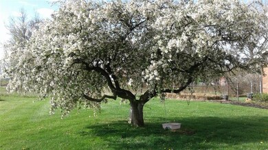 11185 N Division Rd, Fountaintown, IN 46130 - photo 3