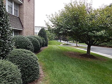View from Front of Building
