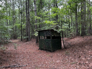 Highway 25, Fulton, MS 38843 - photo 6