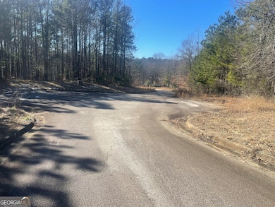 1612 Golden Creek Ct SW, Conyers, GA 30094 - photo 4