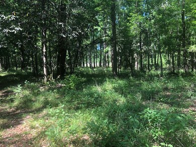 XX Oakwood Trail, Crawfordville, FL 32327 - photo 7