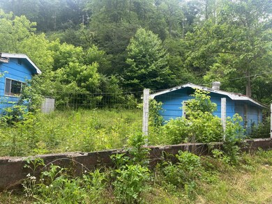 918 Spurlock Fork, Dana, KY 41615 - photo 5