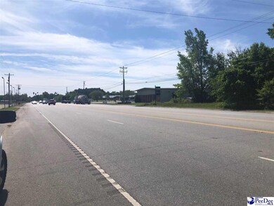 0 W Bobo Newsom Hwy, Hartsville, SC 29550 - photo 7