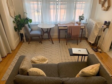 46 W Newton St unit 14, Boston, MA 02118 - photo 5