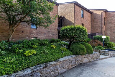 558 Davenport Ave, Cincinnati, OH 45204 - photo 7