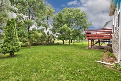 PRIVACY AND MATURE TREES