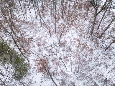 V/L W Bristol St, Webber Township, MI 49304 - photo 4