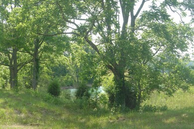 DSC00088