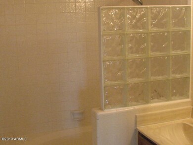 Main Bath Glass Block Shower
