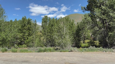 Brown Eastfork Lot 060425 20