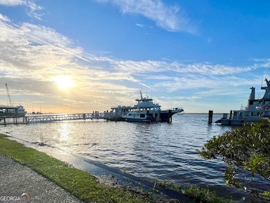 0 Point Peter Place unit 10642670, Saint Marys, GA 31558 - photo 6