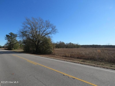 0 N Carolina 53, Kelly, NC 28448 - photo 3