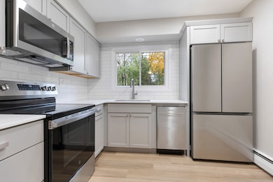 345 N Carter St unit 103, Palatine, IL 60067 - photo 3