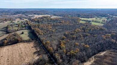 6301 Rochester Rd, Drakesboro, KY 42337 - photo 4