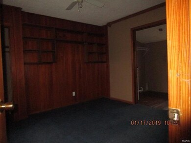 731 Scott St, New Madrid, MO 63869 - photo 4