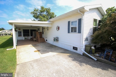 34539 Broad Water Rd unit M-8, Long Neck, DE 19966 - photo 4