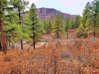 0 Bell Flower Ct unit 767546, Durango, CO 81301 - photo 5