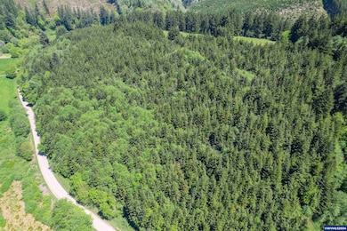 0 Harlan Rd, Toledo, OR 97391 - photo 3