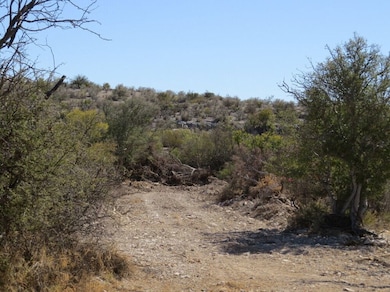 Tract 30 Indian Waterhole Ranch, Dryden, TX 78851 - photo 3