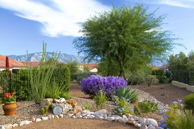 View of the Mountain from lush backyard