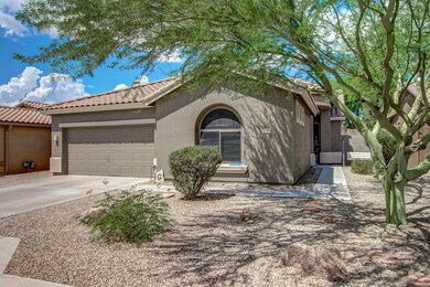 0004-DESERT VIEW (3)