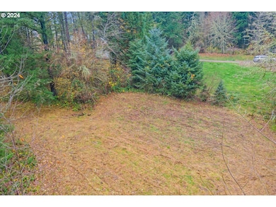 0 NW Plainview Rd, Portland, OR 97231 - photo 3