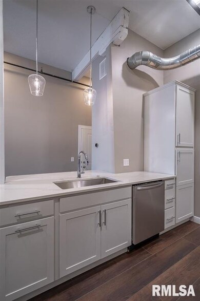 210 E River Dr unit 202, Davenport, IA 52801 - photo 6
