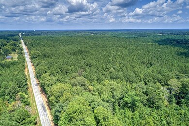 0 Jones Martin Rd unit 459541, Lincolnton, GA 30817 - photo 7