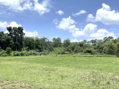 12398 Tangerine Blvd, West Palm Beach, FL 33412 - photo 7