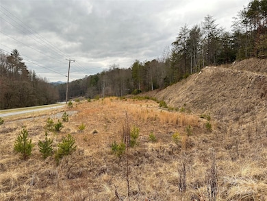 000 Highway 19 W unit Tract 1, Bryson City, NC 28713 - photo 6