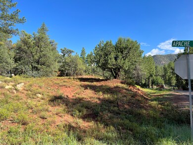 389 E Apache St, Pine, AZ 85544 - photo 3