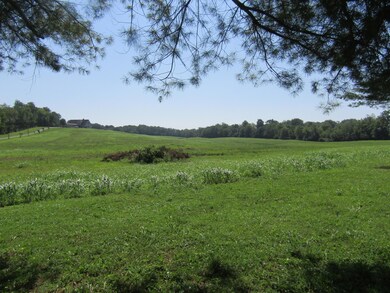 1095 Hwy 33 S unit B, Harrodsburg, KY 40330 - photo 5