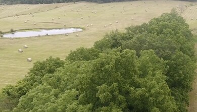 Screen Shot 2020-07-06 at 2.10.11 PM