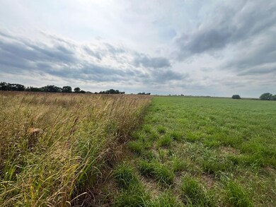 Stamford unit NE 68977, Stamford, NE 68977 - photo 4