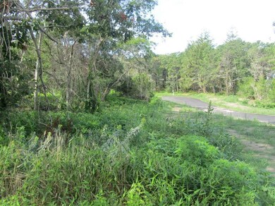 3 Cornelias Way, Harwich, MA 02646 - photo 2