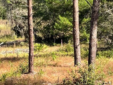 Back Property line is where you can see the proper