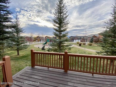 Hicks - Back yard