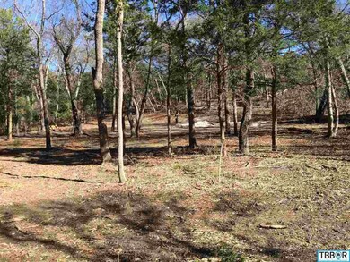 960 Old Moody Rd, Eddy, TX 76524 - photo 2